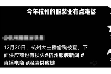 爆料！帶貨一姐薇婭涼了，紡服市場連鎖反應(yīng)，中小企業(yè)處境或?qū)⒏永щy